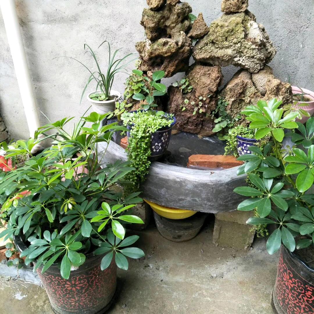 李，专业防水。