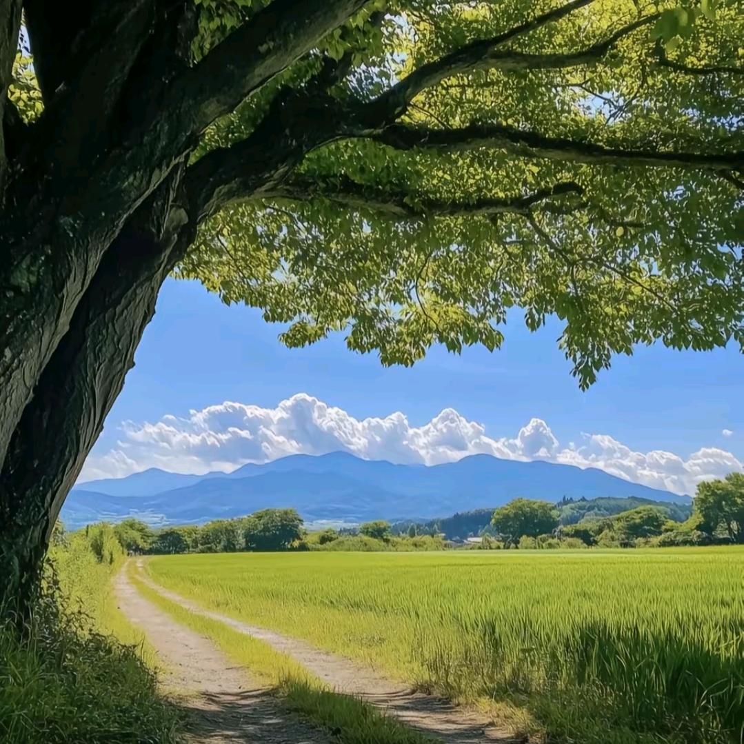 无人扶我青云志，我自踏雪之山巅
