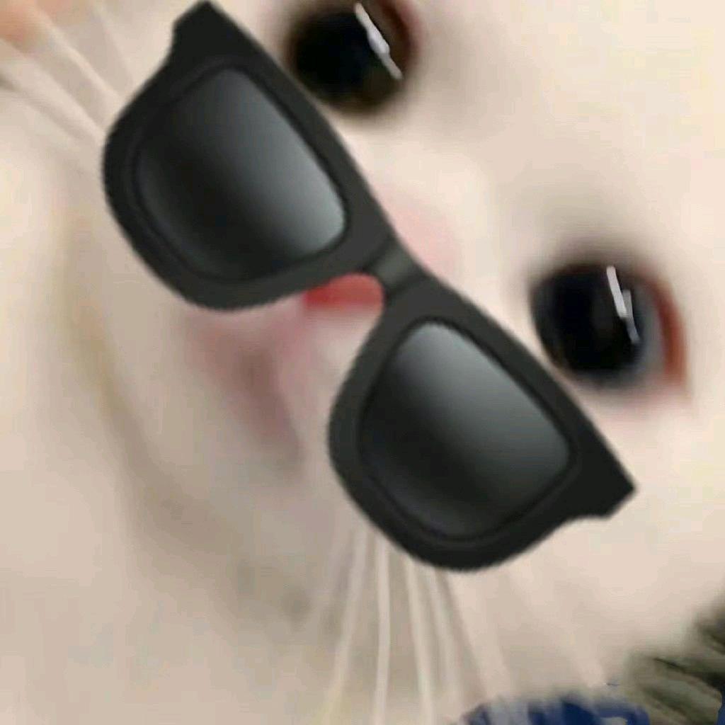 湘西金融小张张