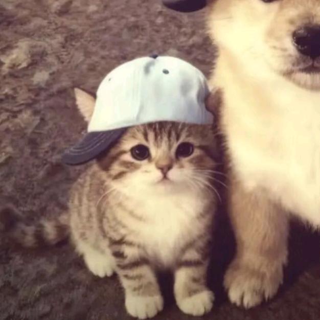 好好吃饭，天天向上