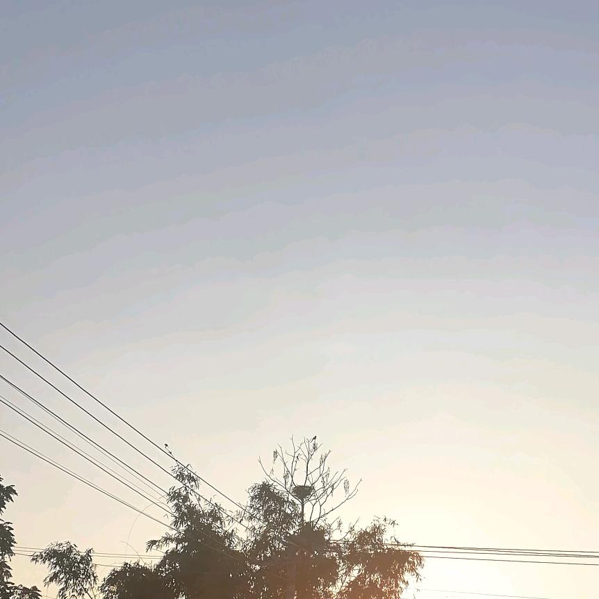 落叶知秋