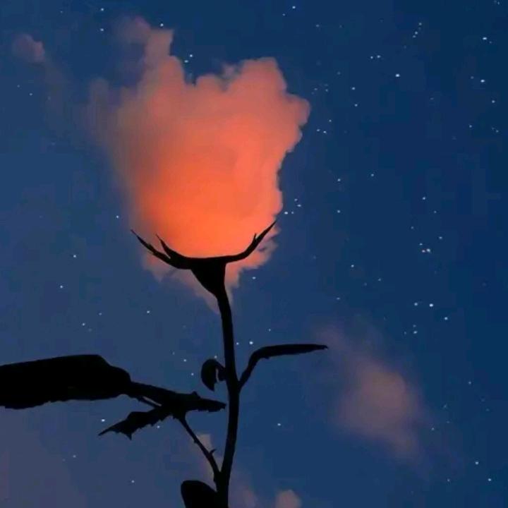 我