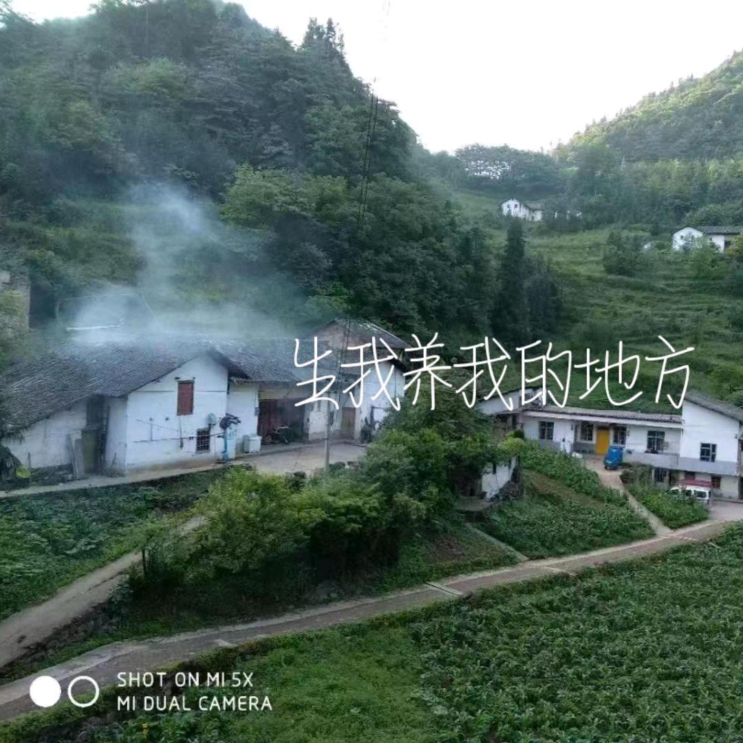 兰芯❤️(拒绝私聊）