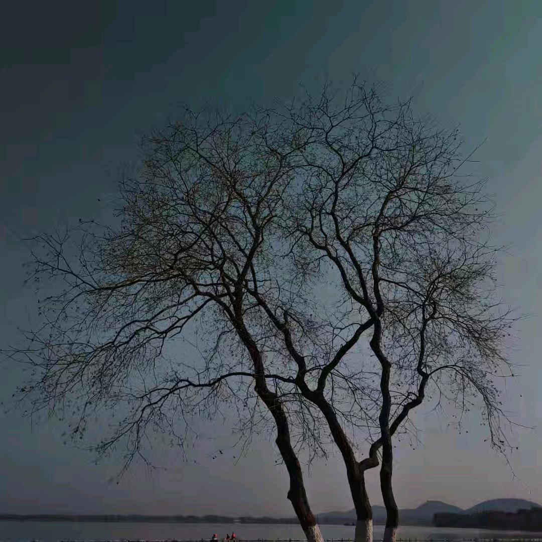 不分左右