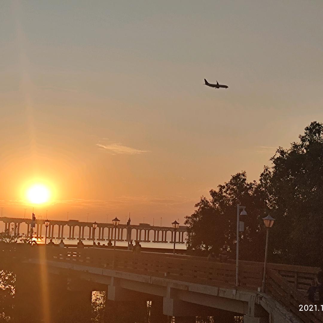 为了自由（奋斗版）