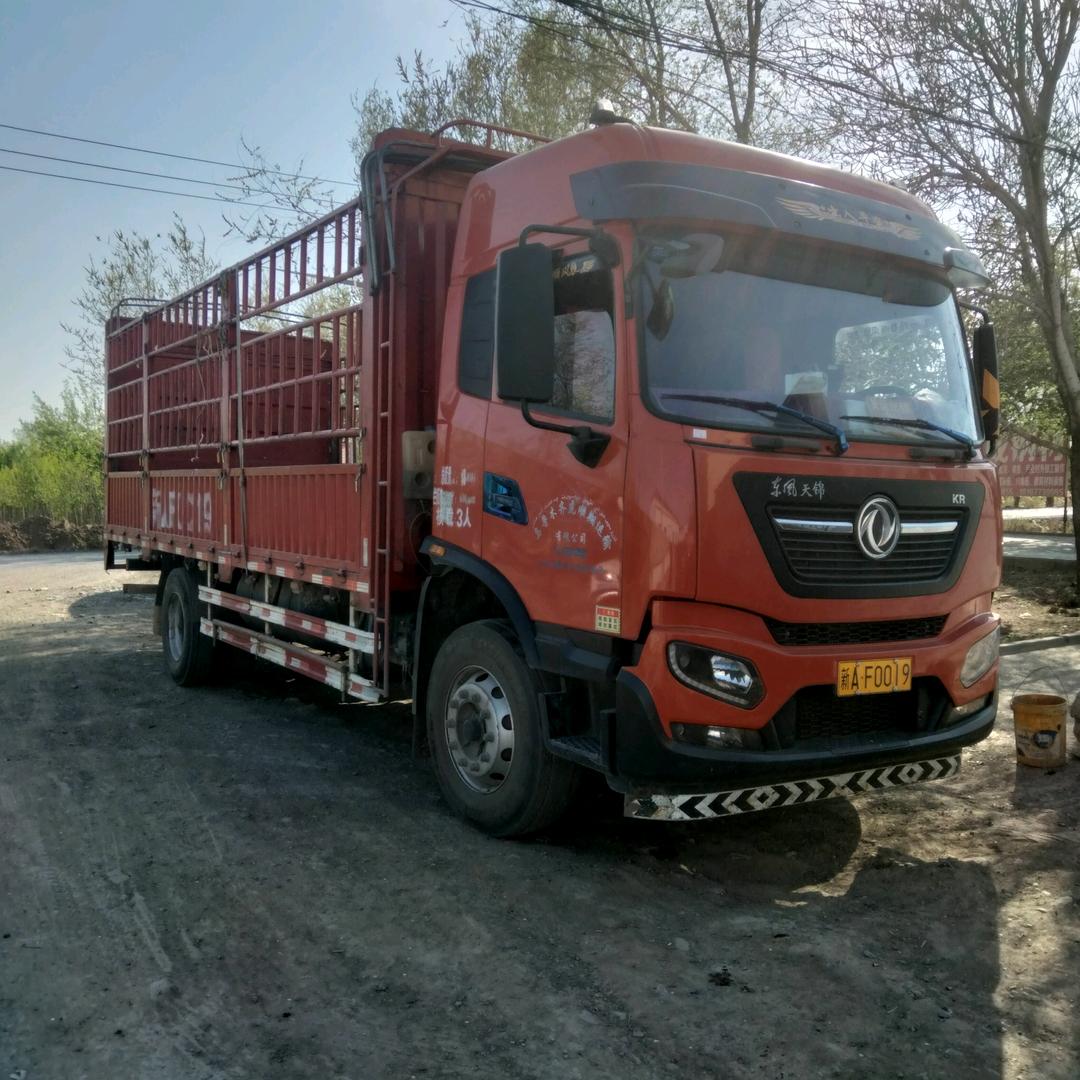 开货车的帅小伙