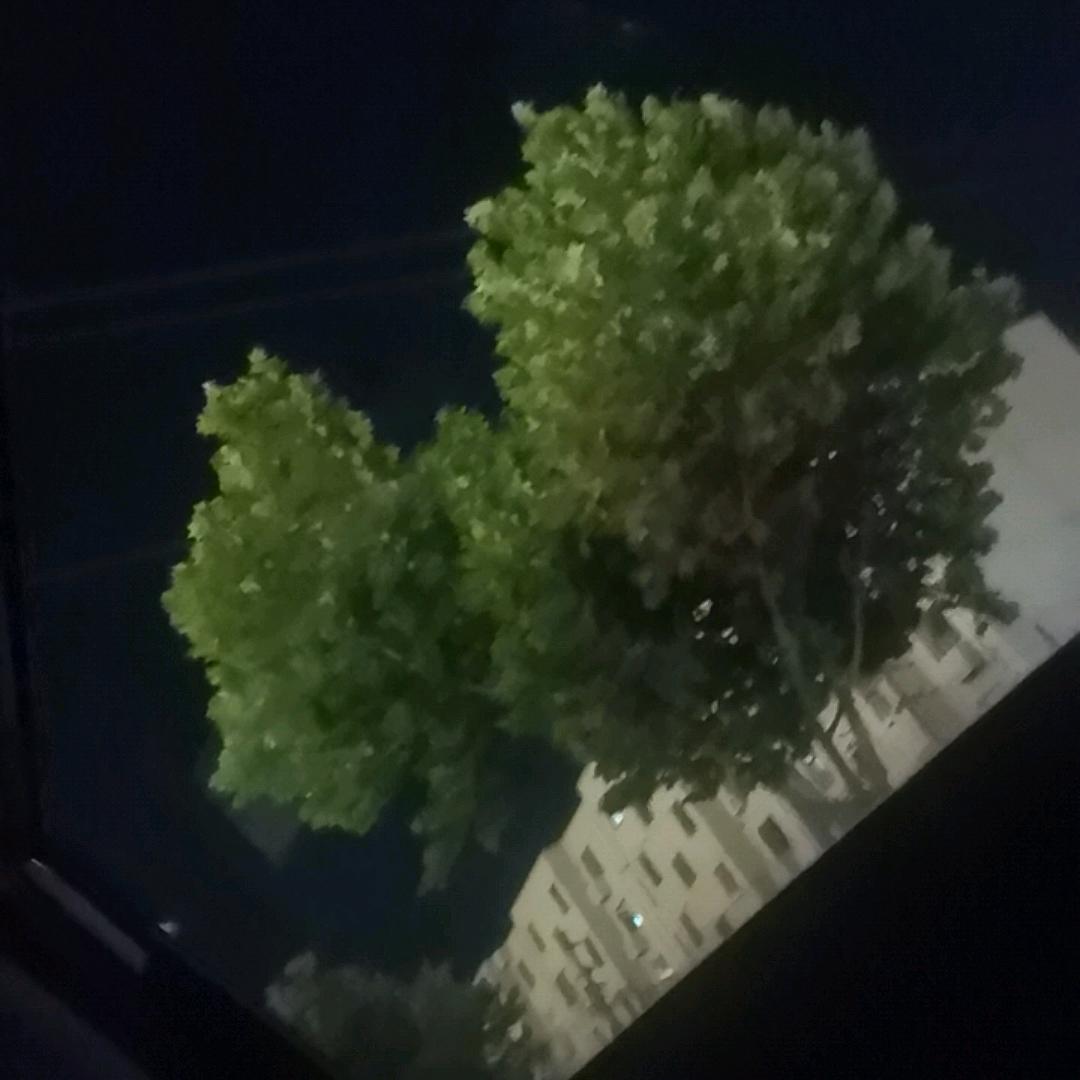 真诚