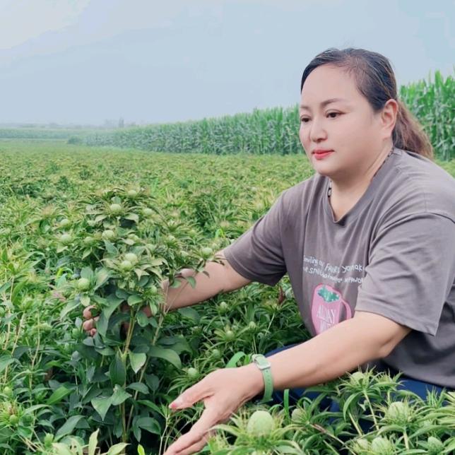 洛阳陆源农业科技有限公司