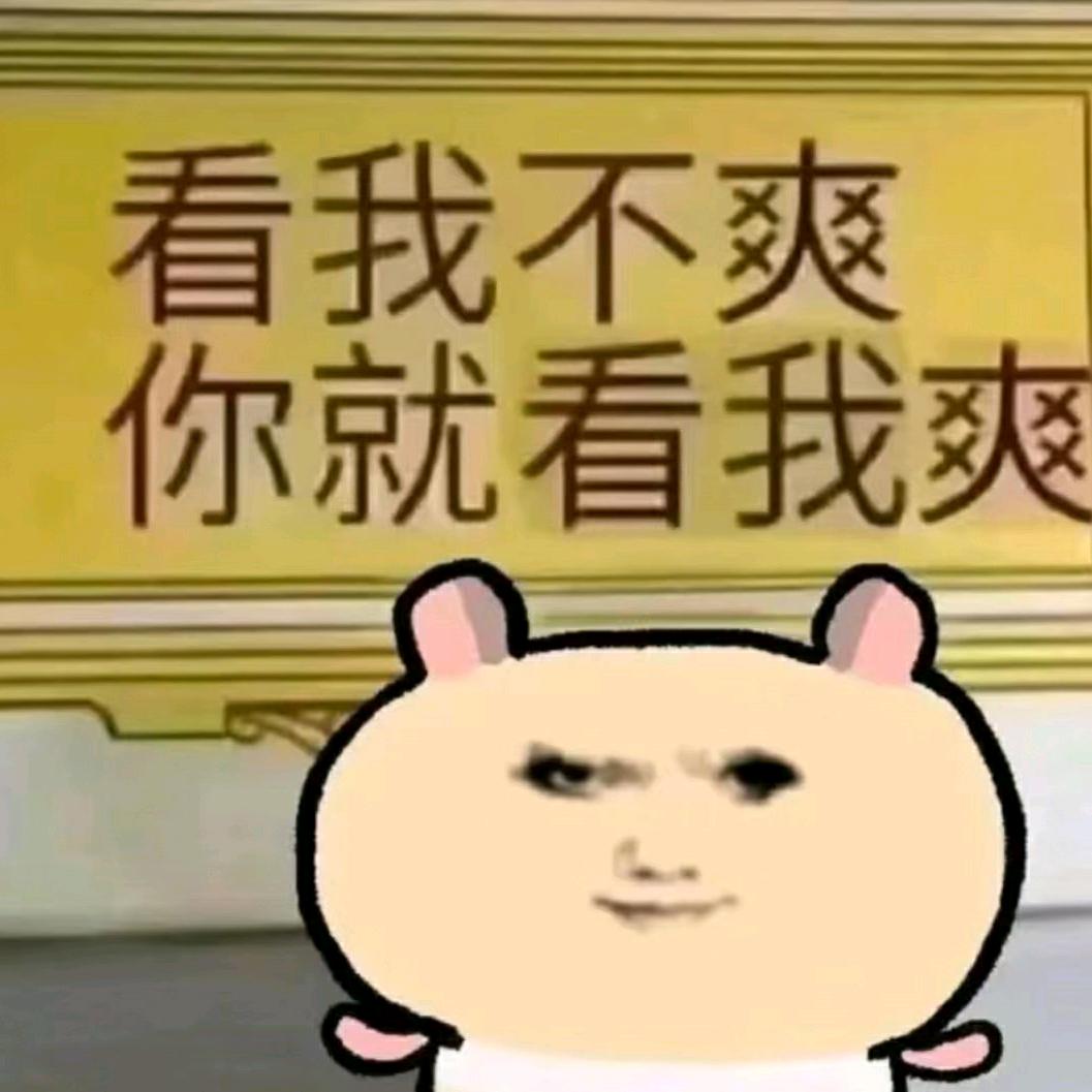 小小豆豆