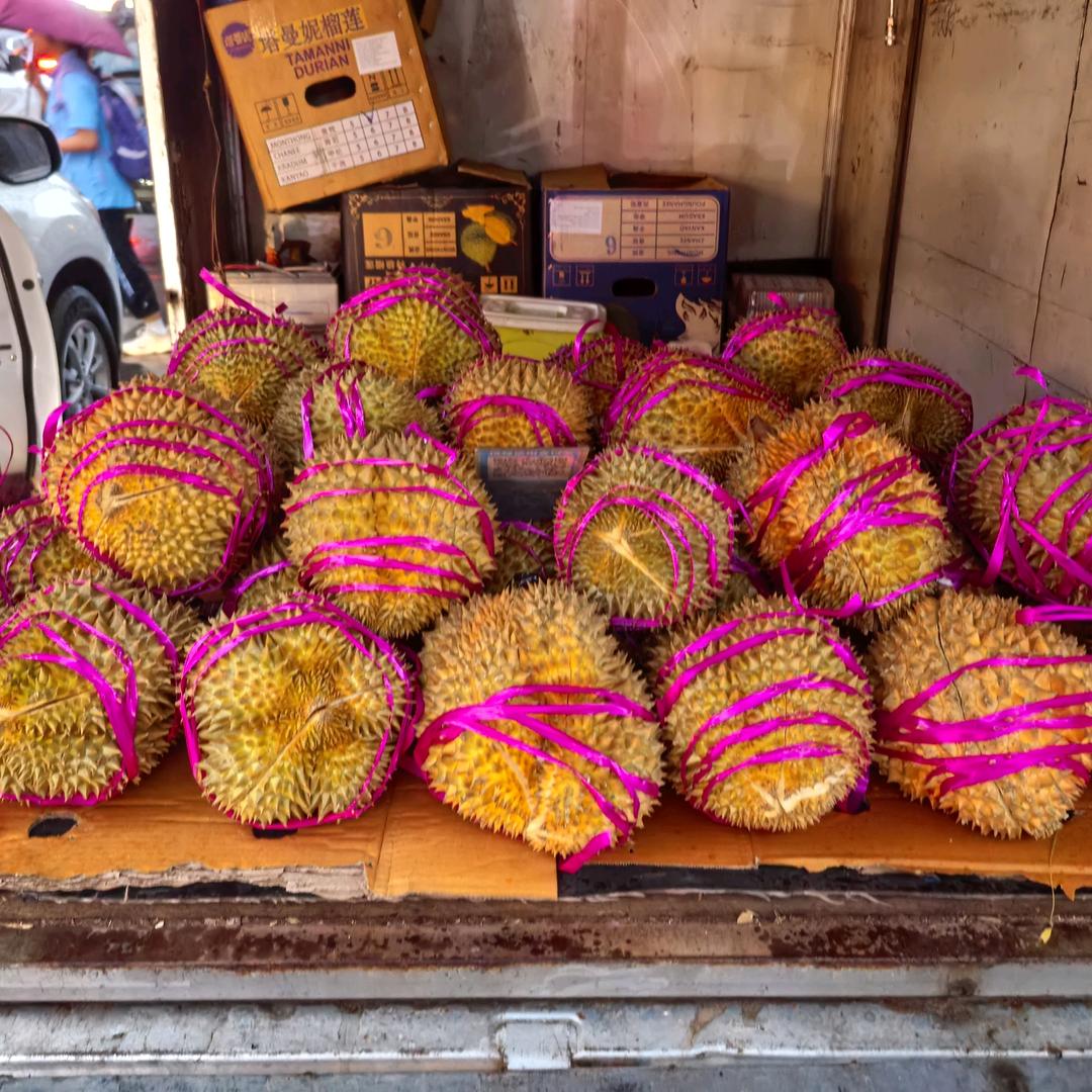 超哥泰国金枕榴莲