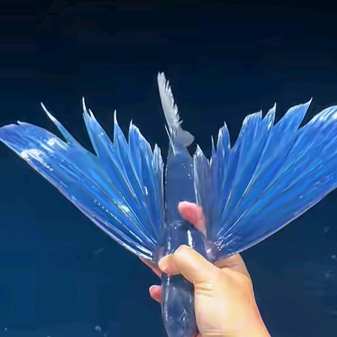 米娜是台风