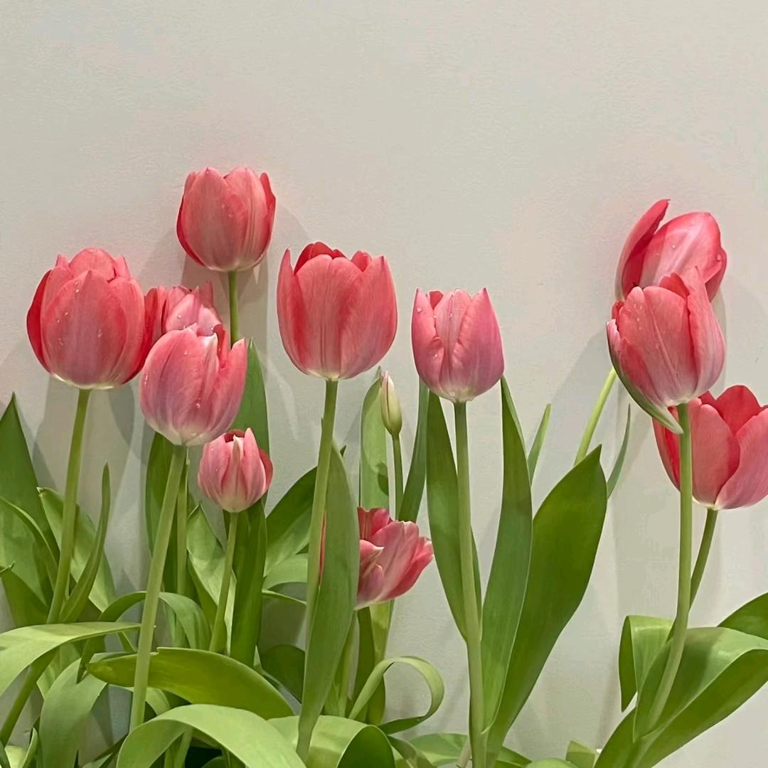 纪