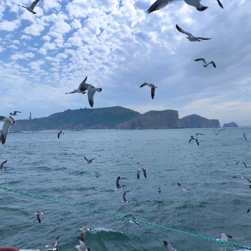 一梦江湖
