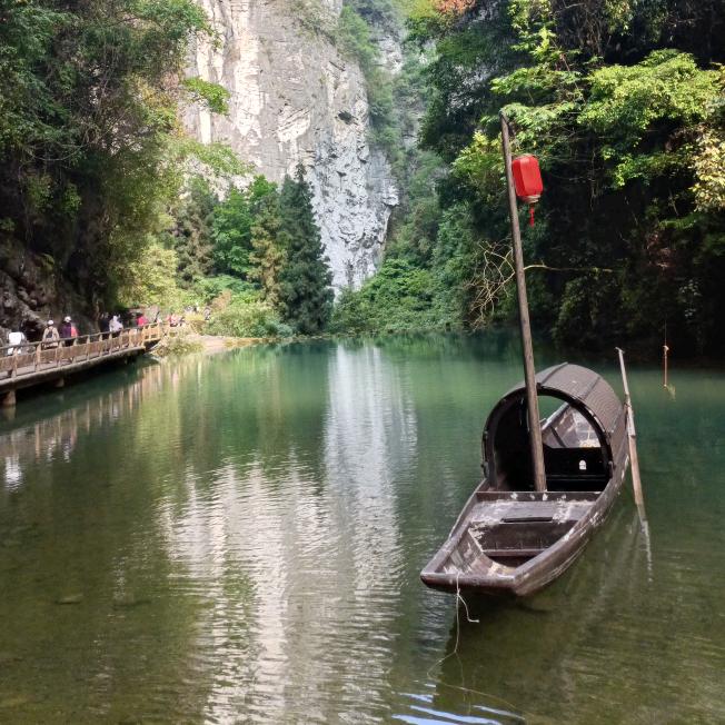 学习之族（族长）