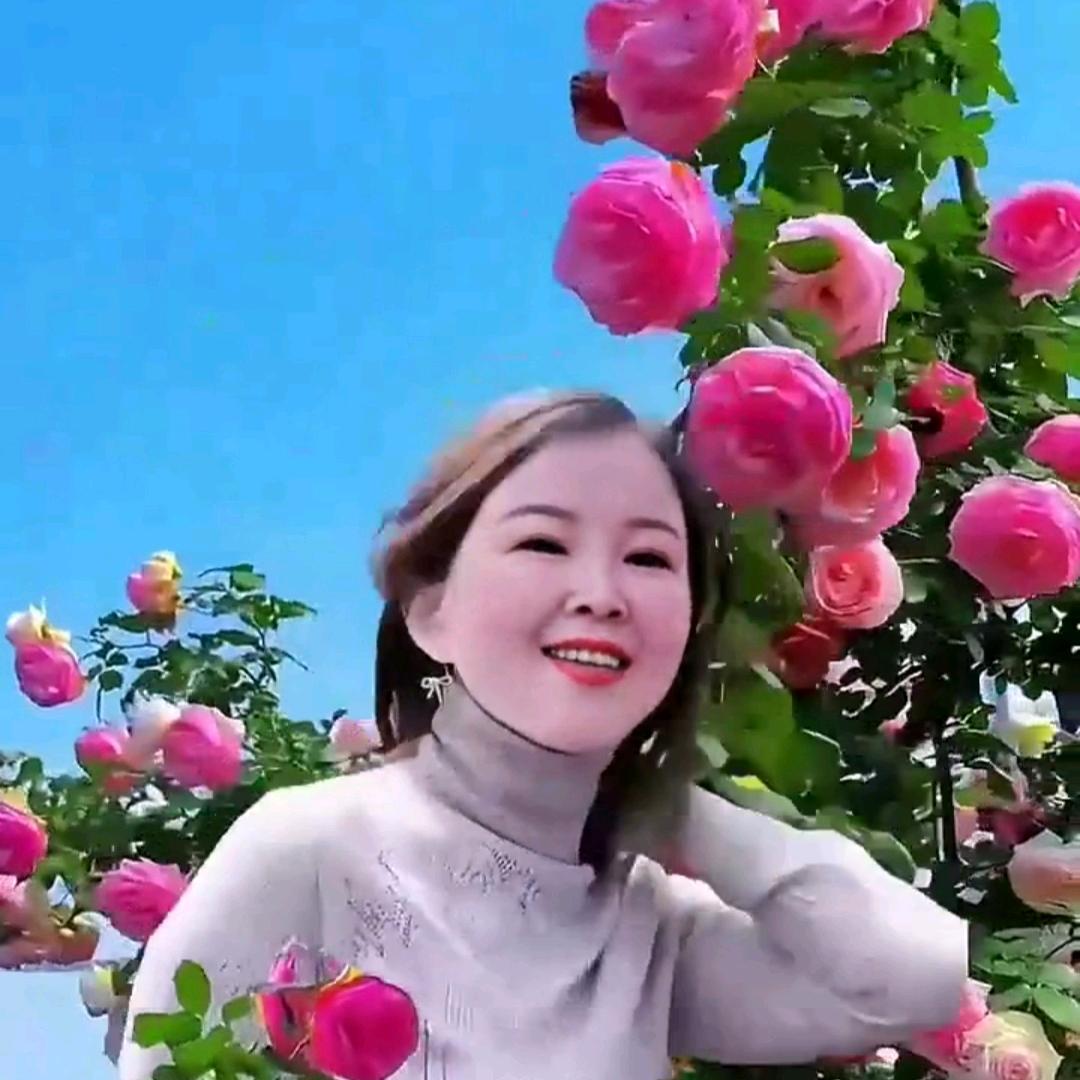 大兰老师