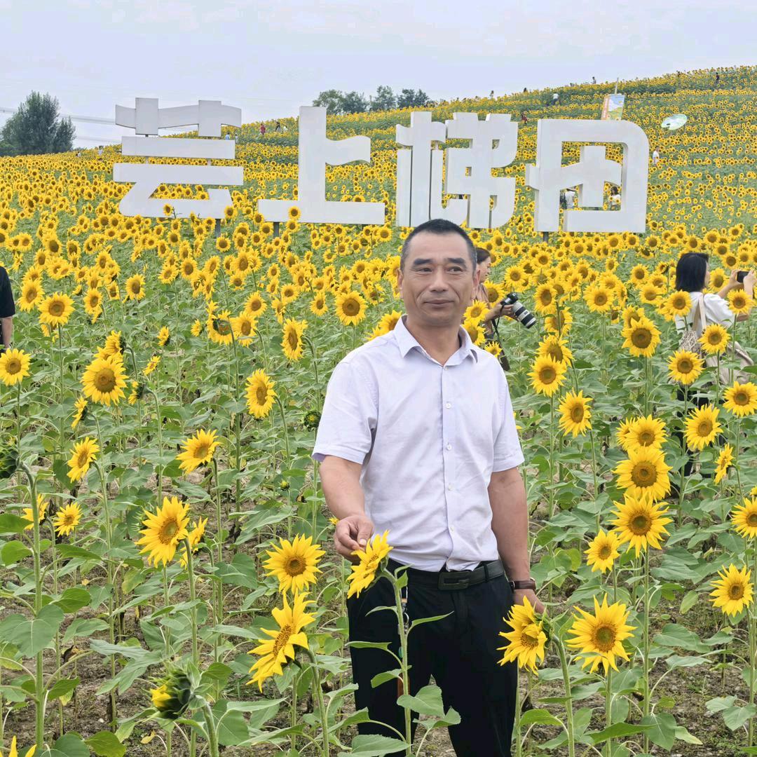 放飞梦想666