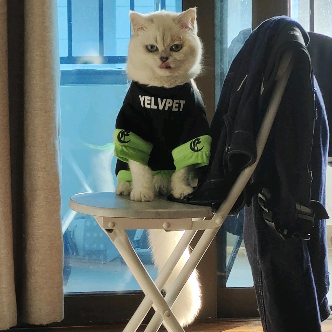 莱莱（running!）