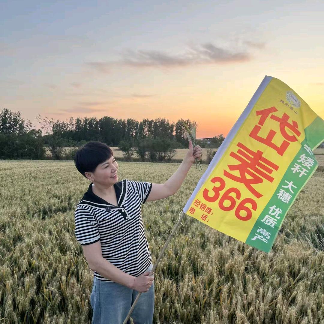 焕云农资