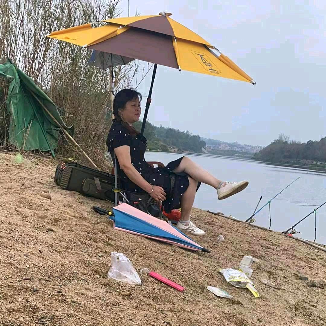陈飞飞