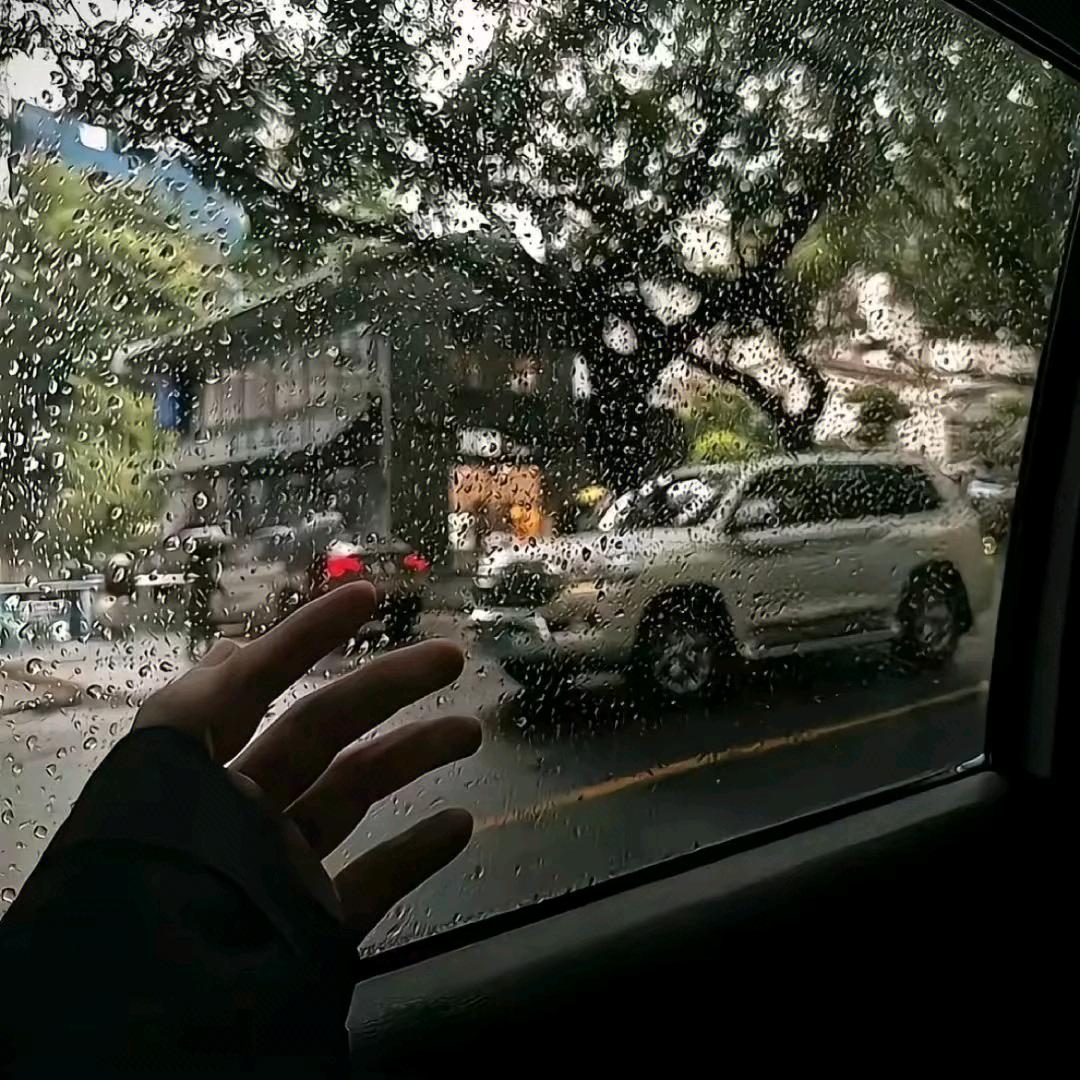 零度🌞
