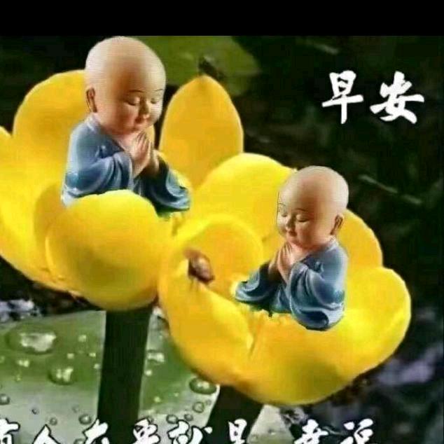 陪你去流浪