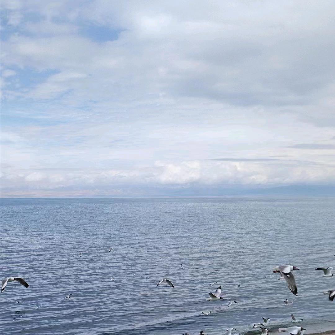海之深
