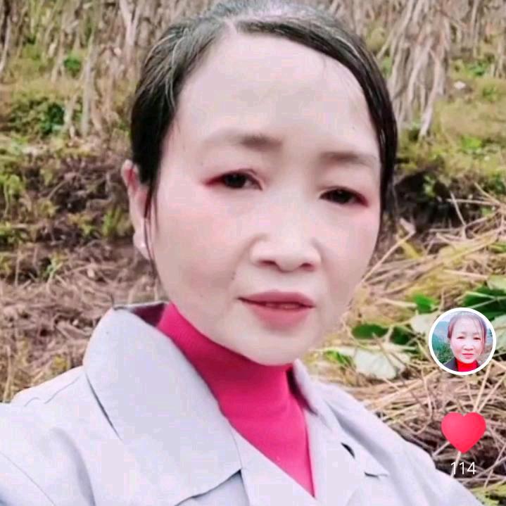 苏飞姐