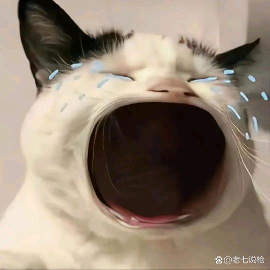 五载