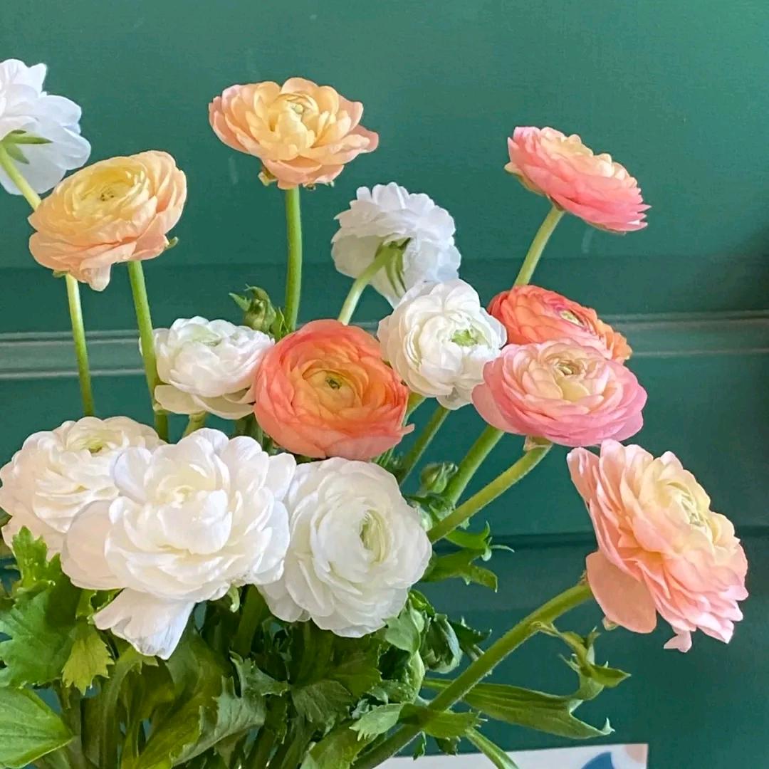 月下飞花🌹