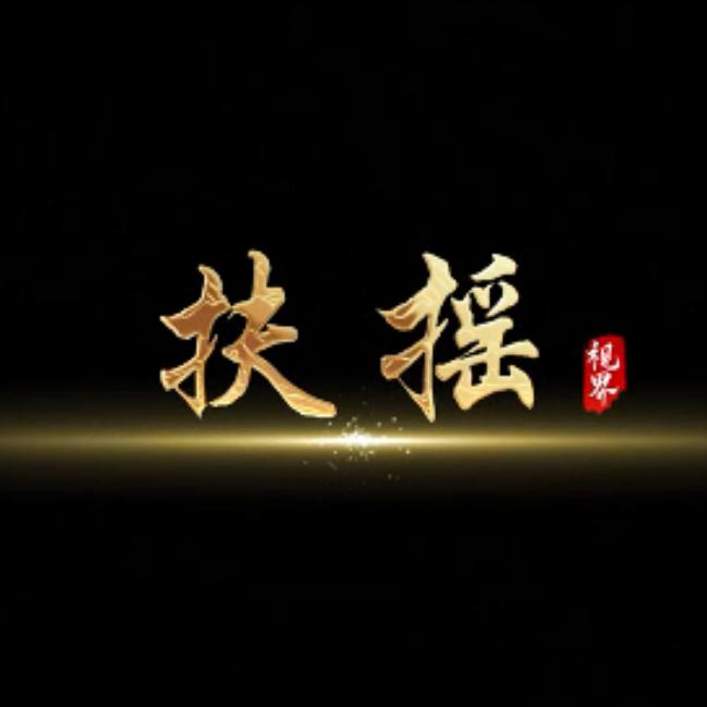 扶摇视界