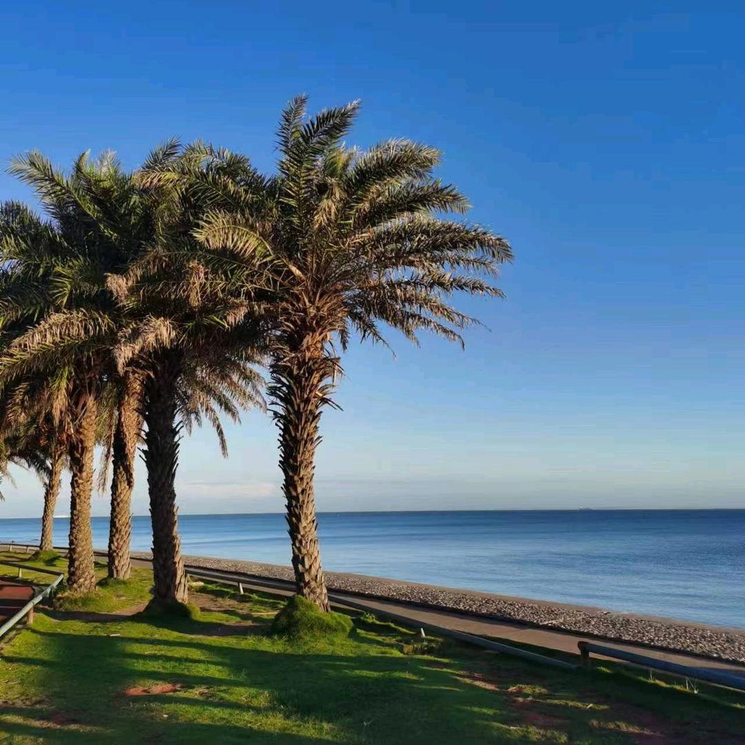 🌲🌲🌲时光不老