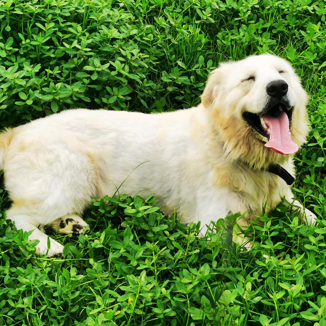 ✨🌪乌镇的风🌪✨