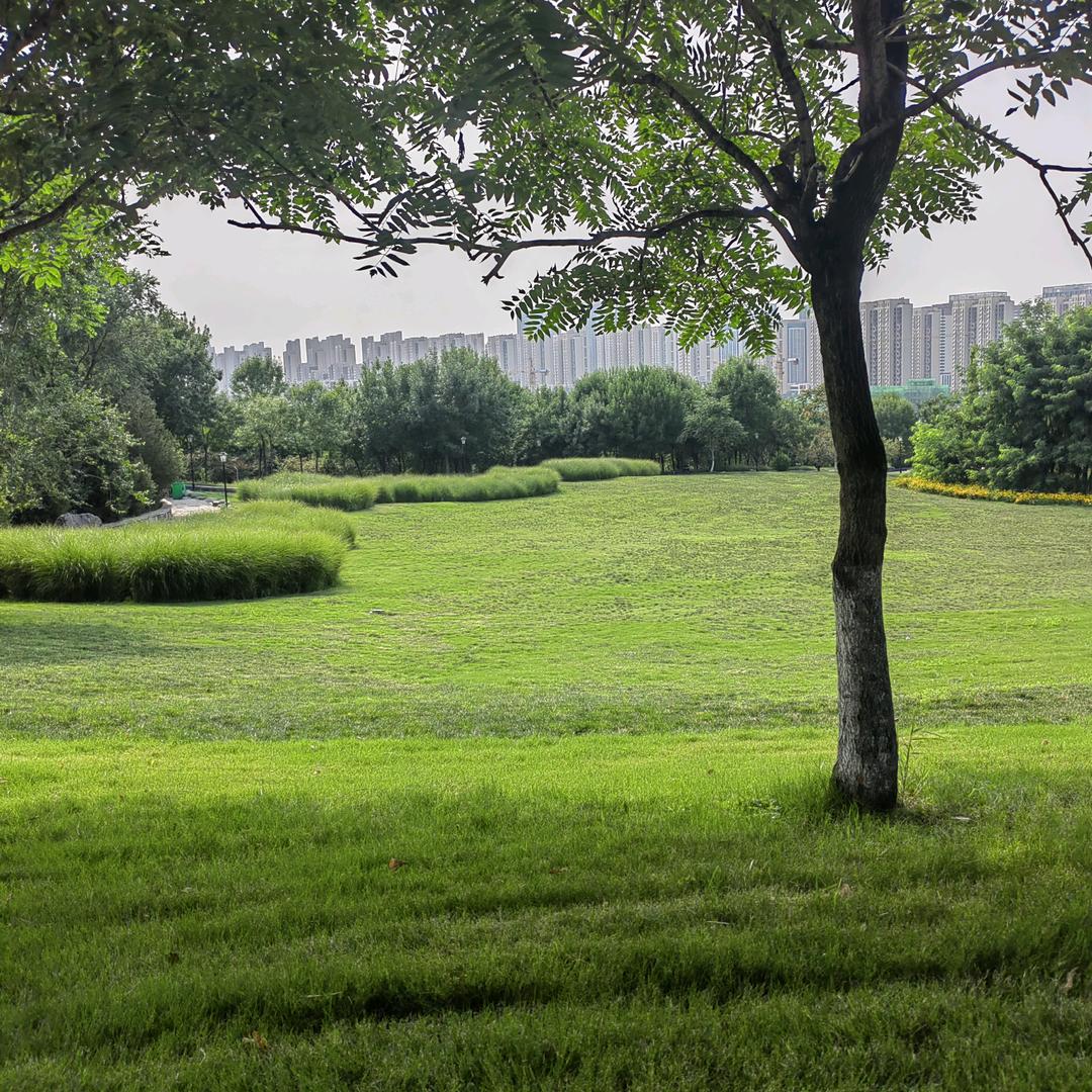 一下站，拖上岸