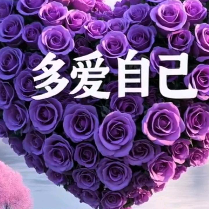 用户9408693992024