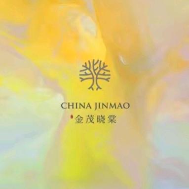 南京甬辉房地产营销策划有限公司小朱说房