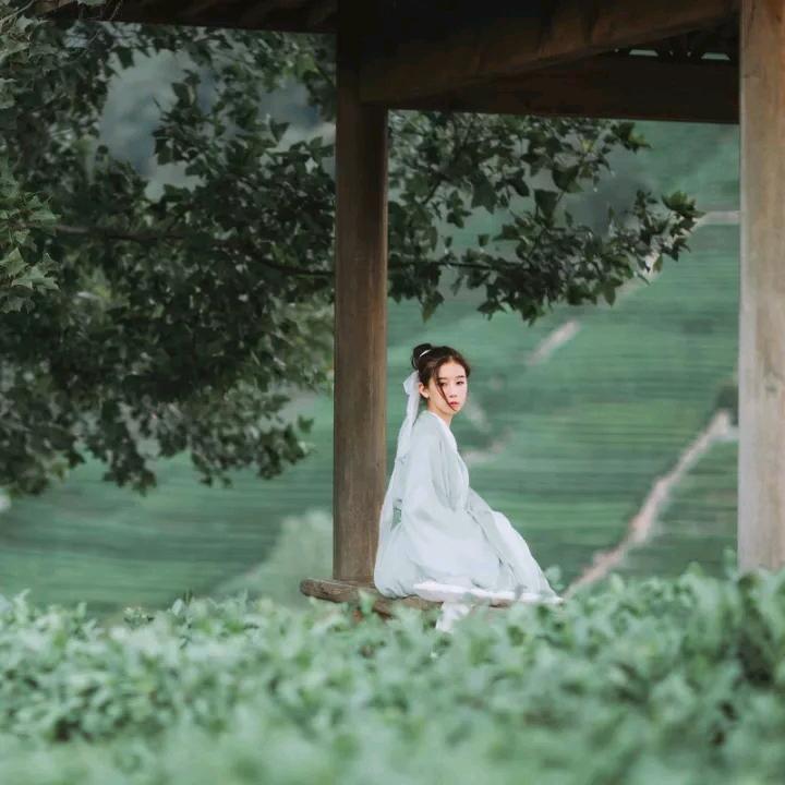 樱花海海