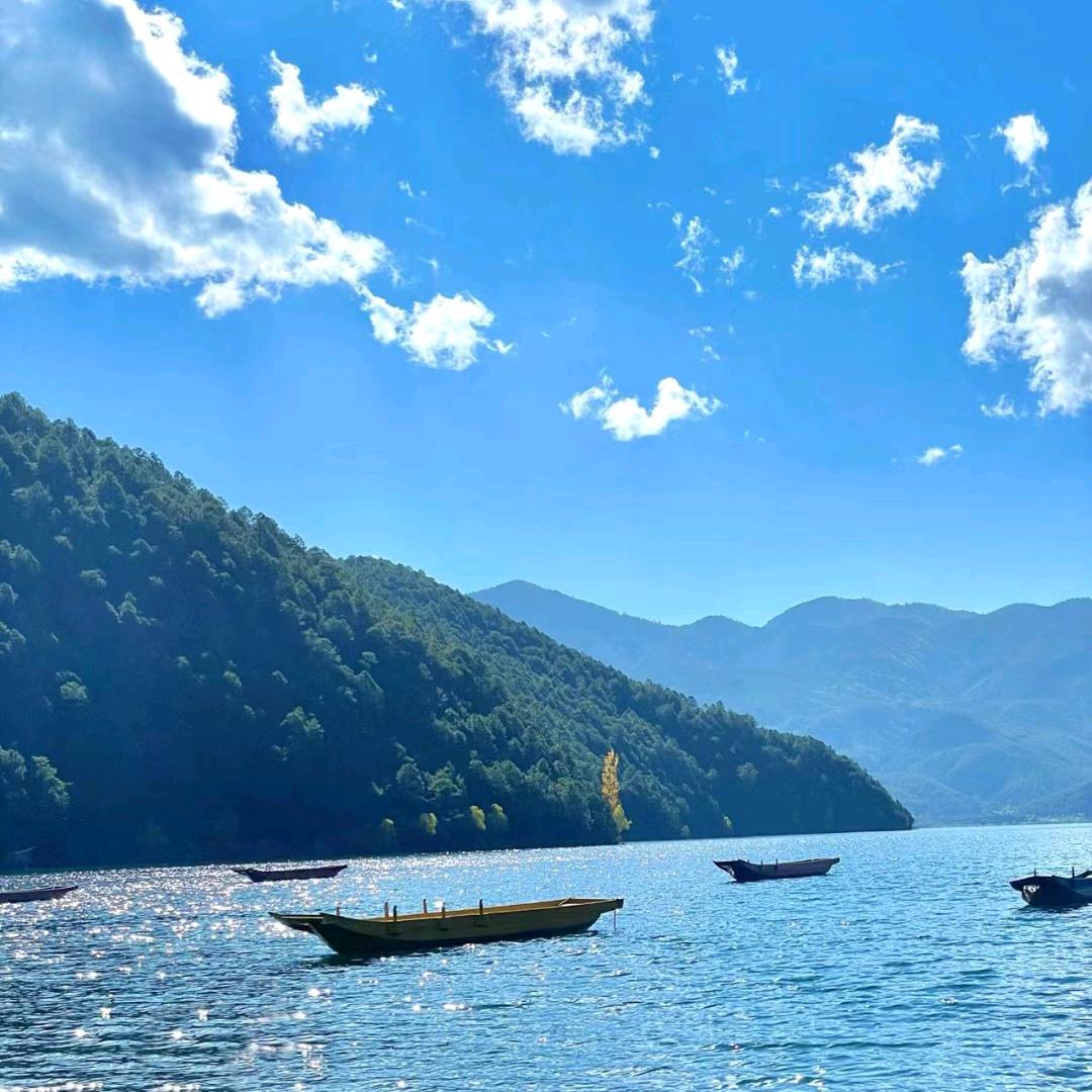 丽哥
