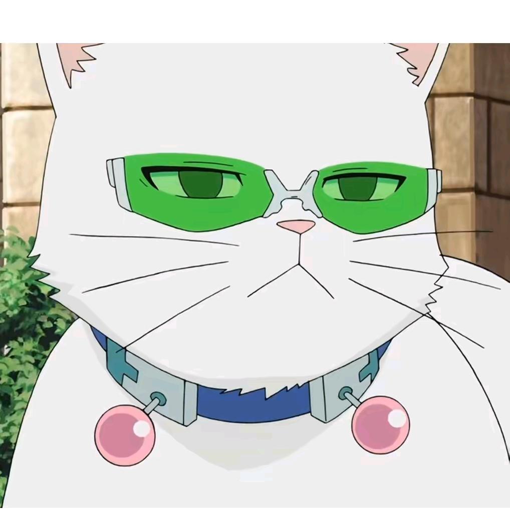 ljc（蒙多电竞）