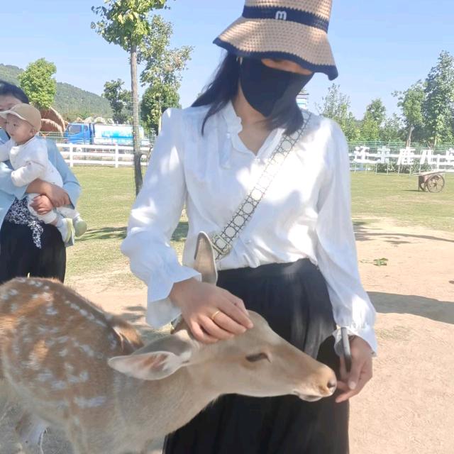 芯缕