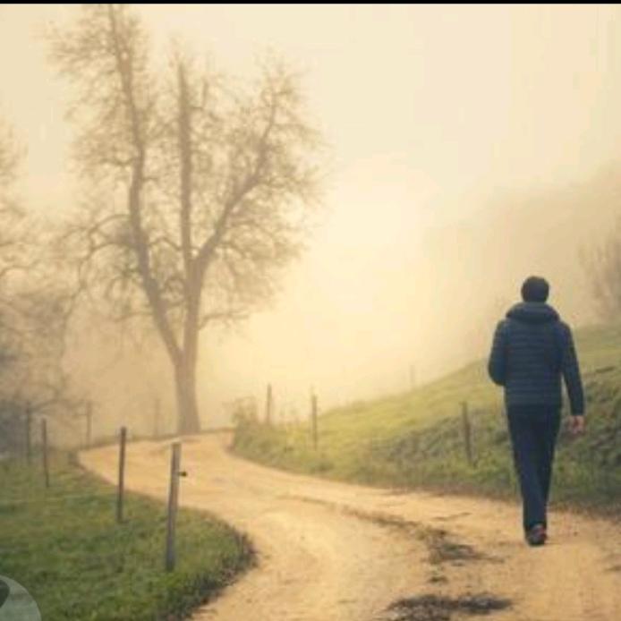 🌱扬帆起航🌺