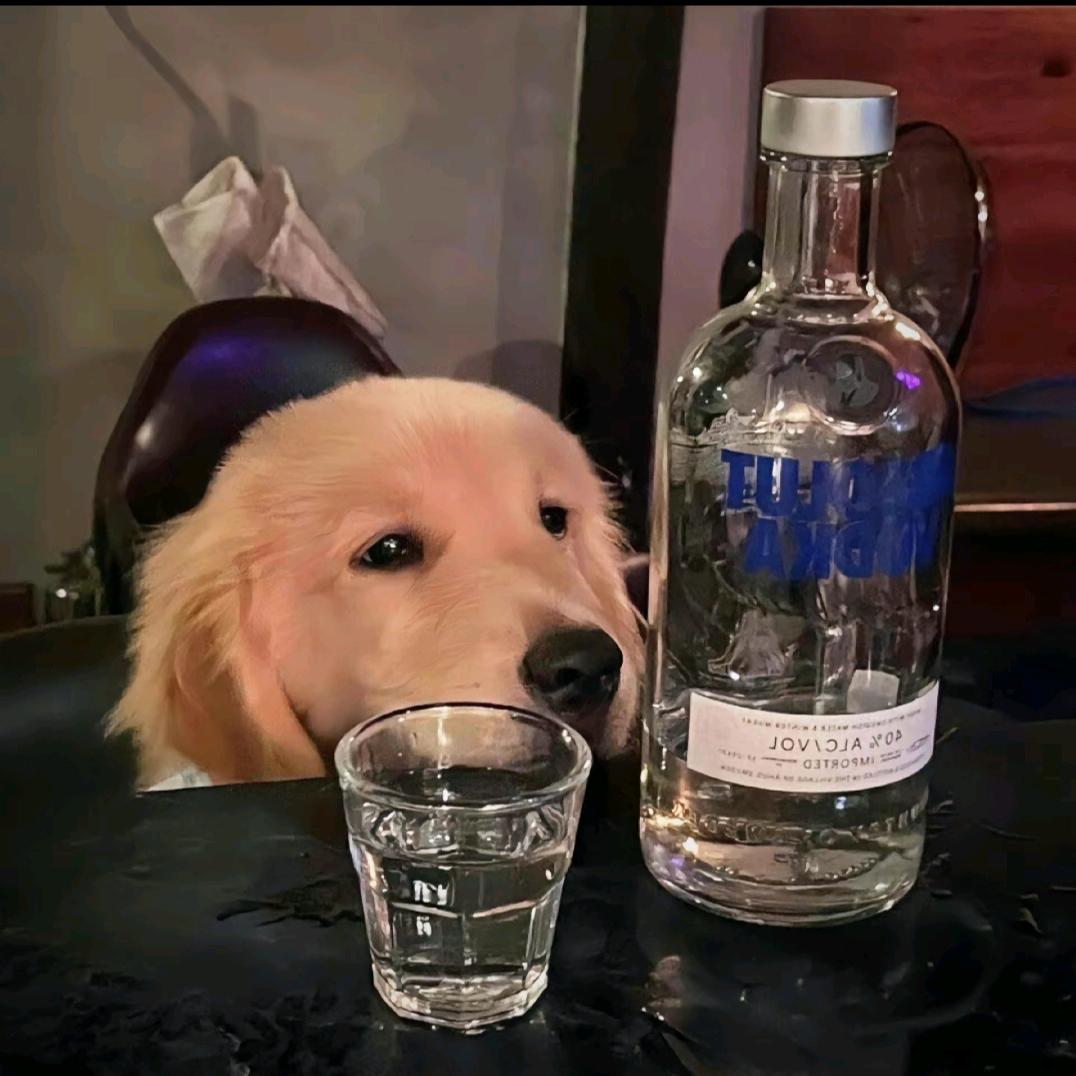 差不多小何姐姐