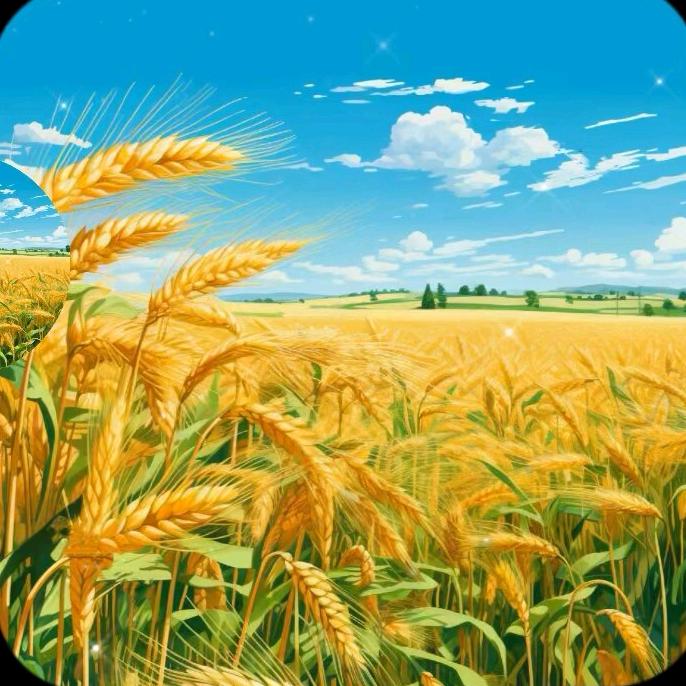 柿事顺意🍅🍅大名张文才