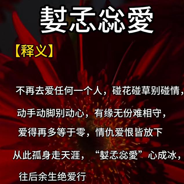 ❤️有缘🌹无份❤️