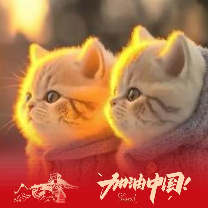 壹亩方糖