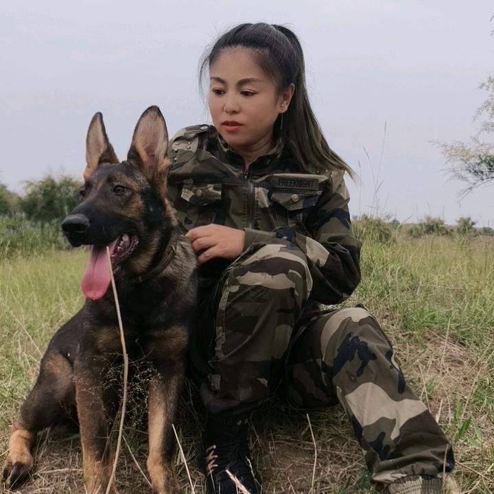 十七姐昆明犬