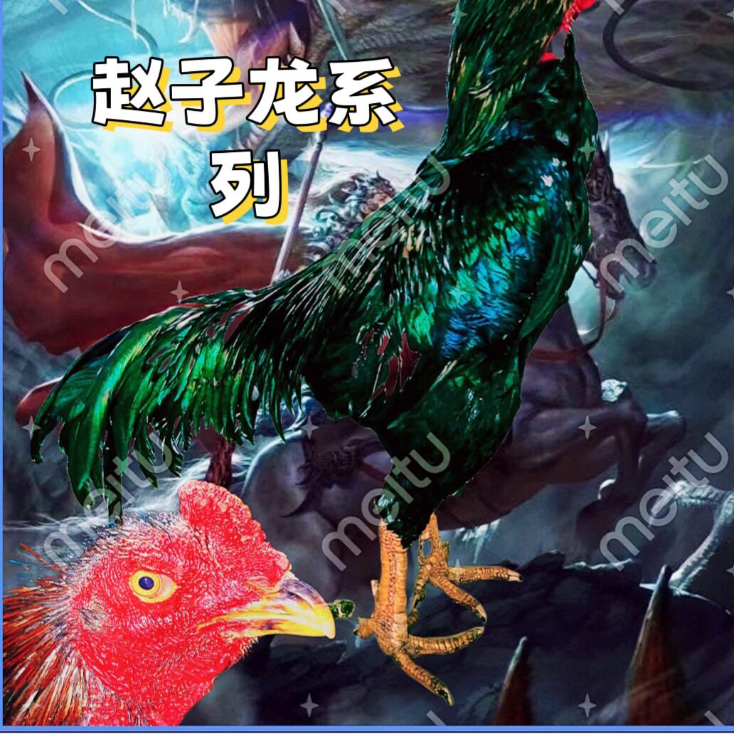 李扬🐉(赵子龙系列🐉