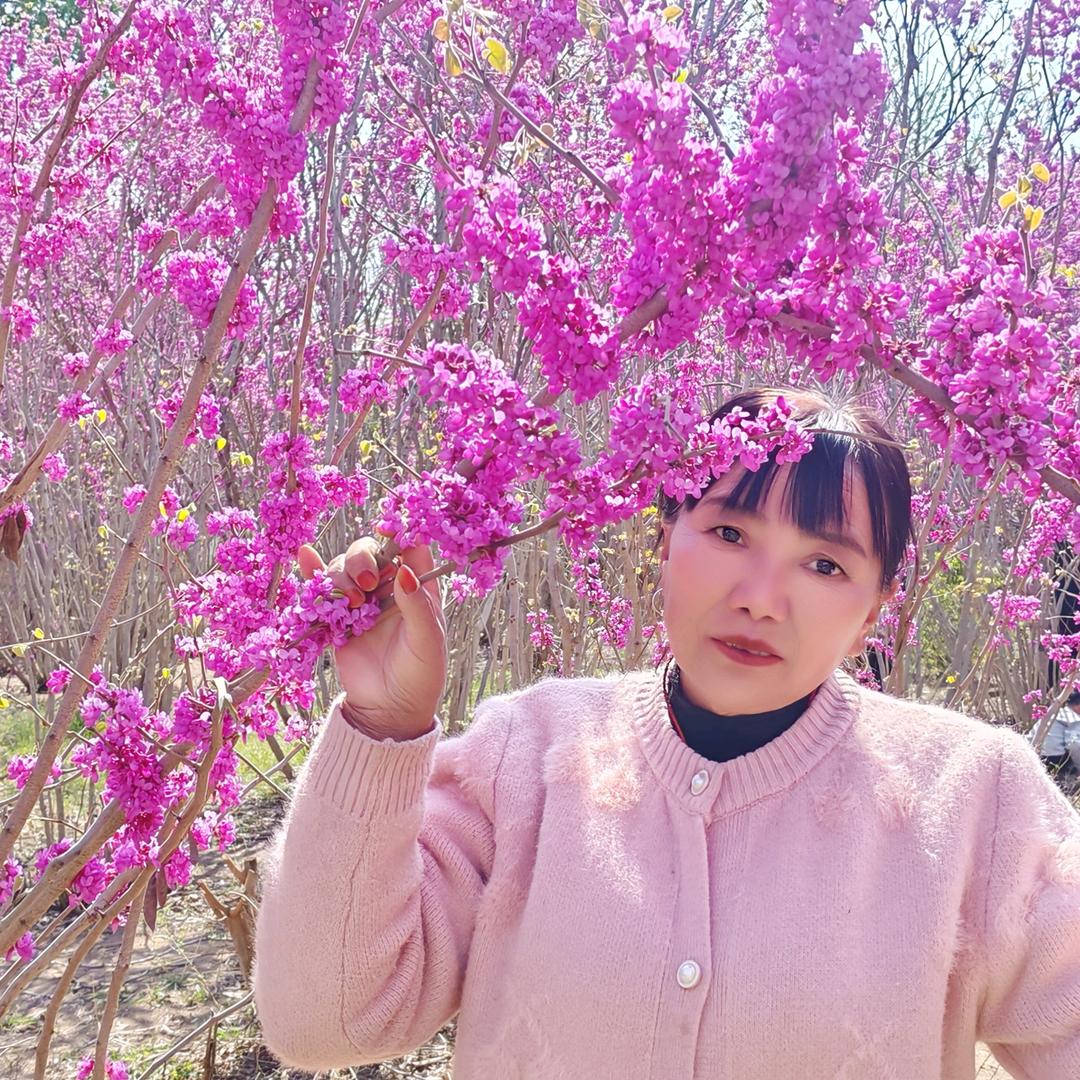 牵线红娘