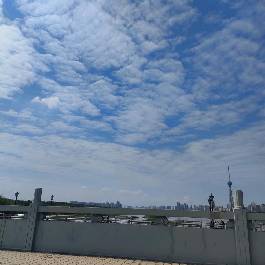 香水有毒