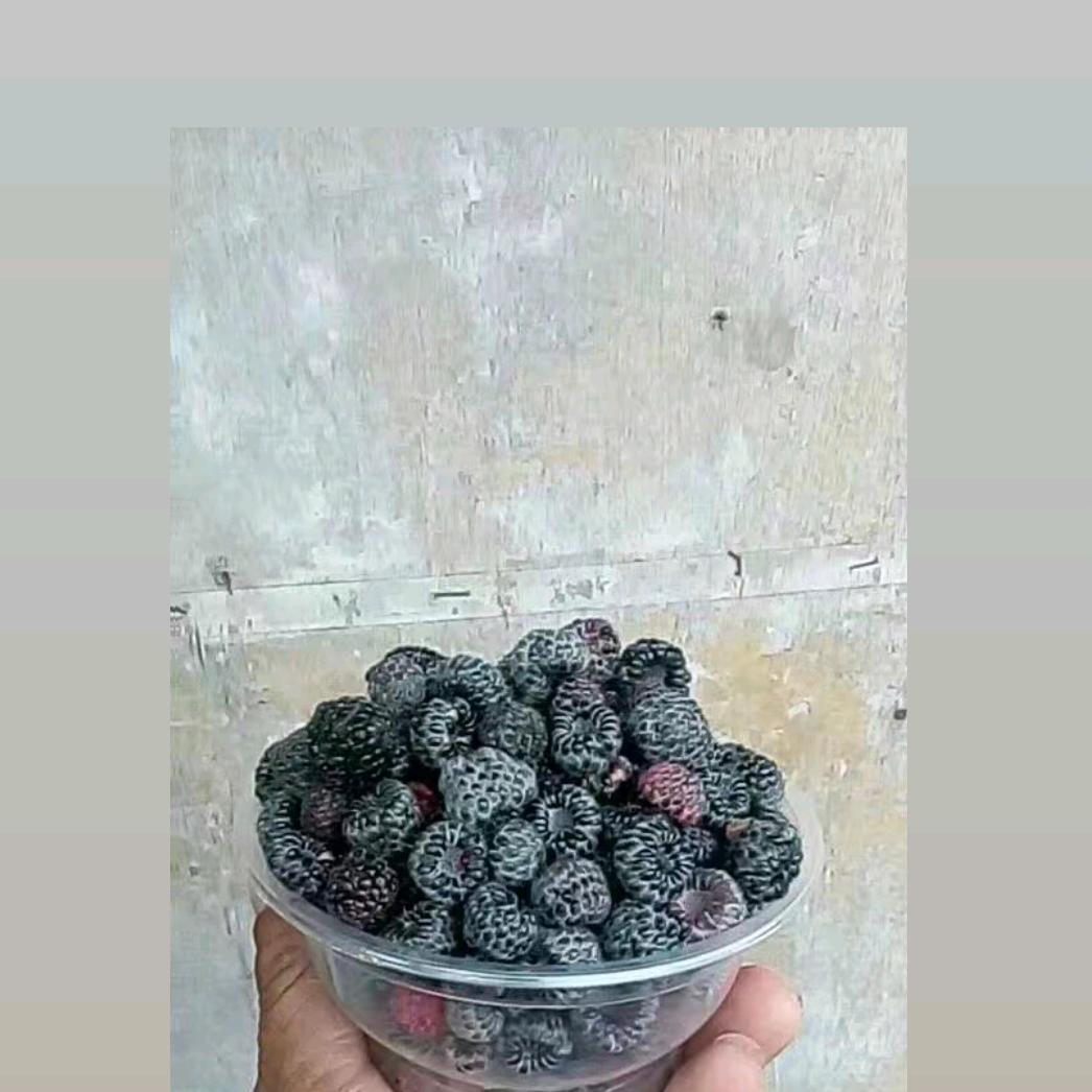 心随风飘散