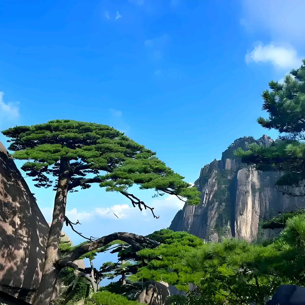 福禄寿喜